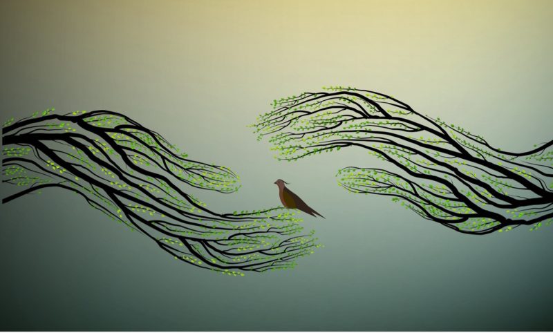 wisdom-of-co-creation