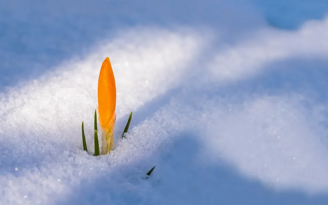 The Experience of Being in 12 Practices, part 2