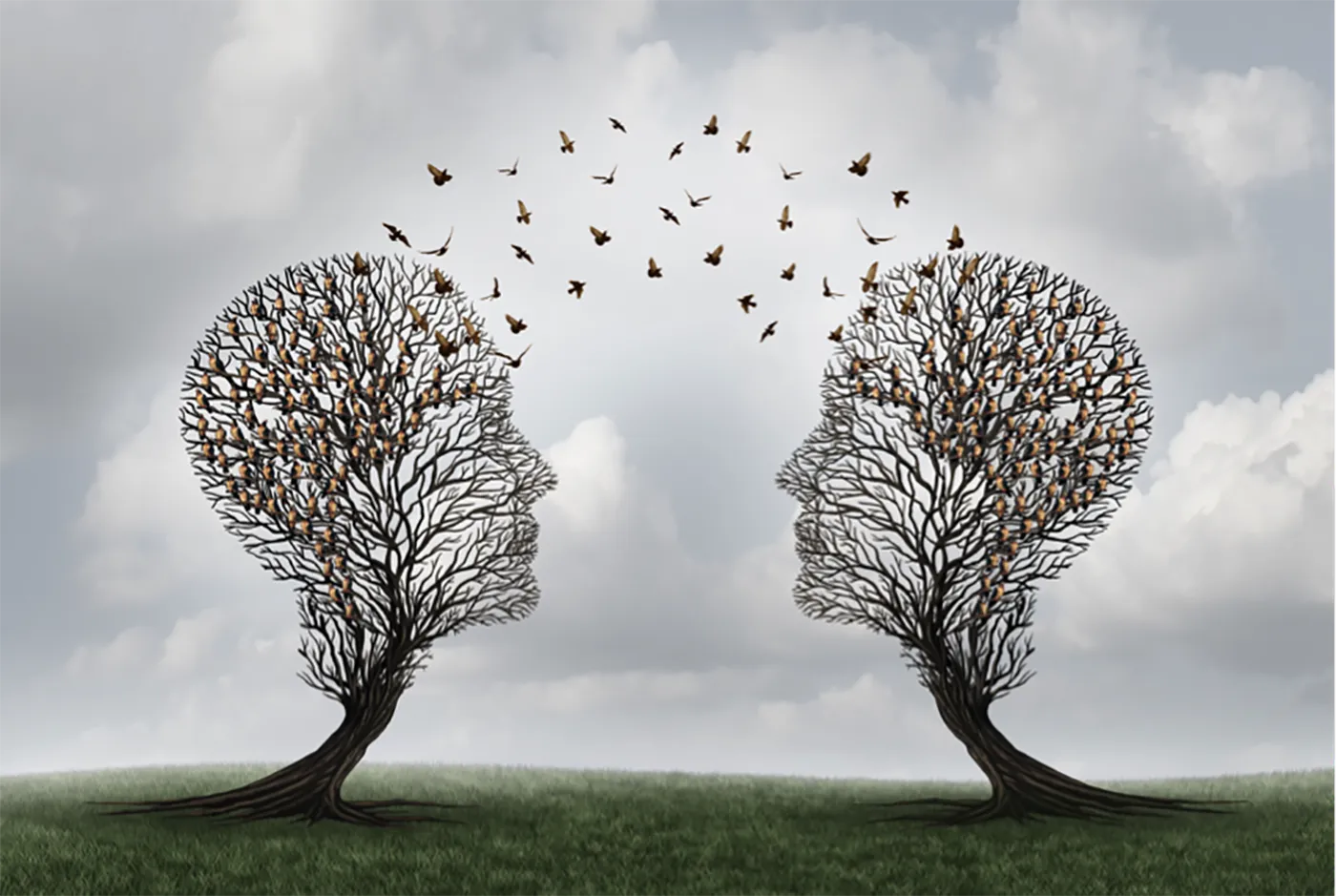 Mental hygiene trees Mental hygiene trees